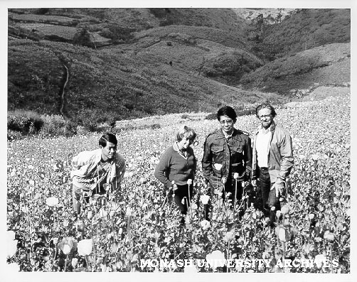 Dr Tim Ealey (right), wife Raya and Thai hosts Dr Nart and Mr Mans (left), waist deep in opium poppies