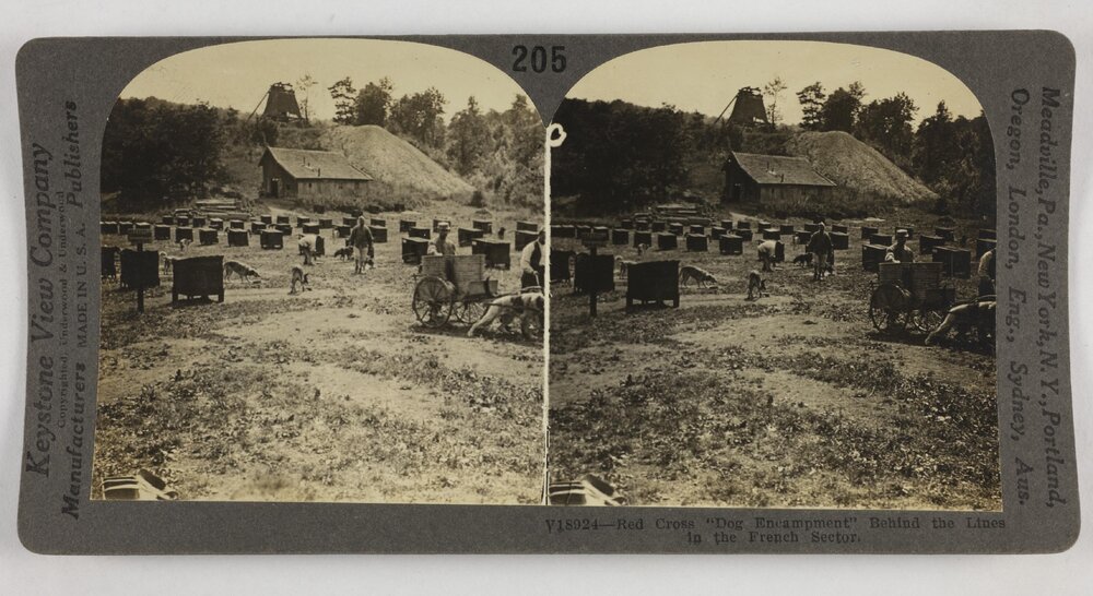 Red Cross "Dog encampment" behind the lines in the French sector