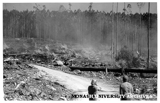 Public history students viewing controlled burn at logging site in Thomson Valley