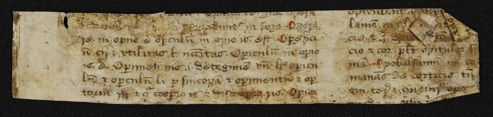 Fragment no. 5 