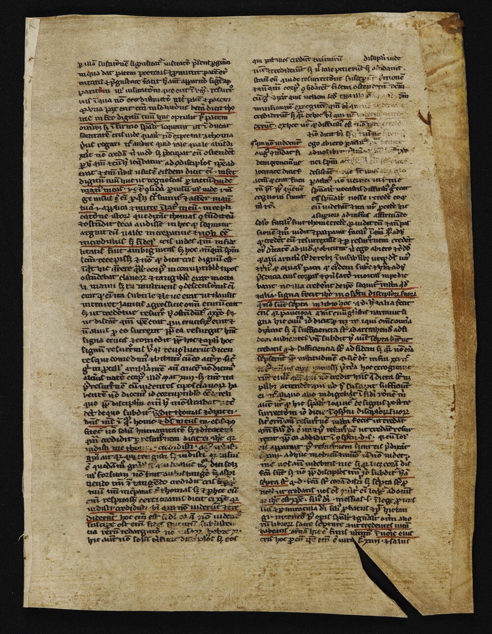 per illud tutatonem ti gratiatur visitato praesent programma