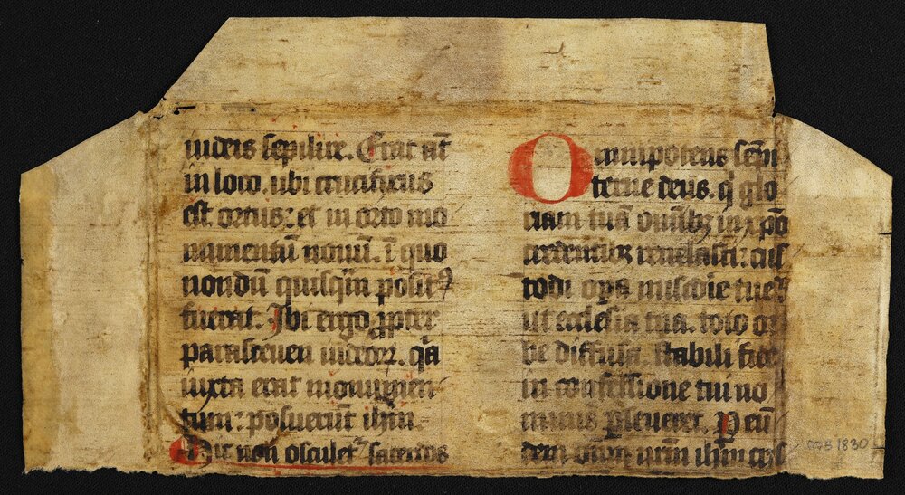 scriptura dicit sicio