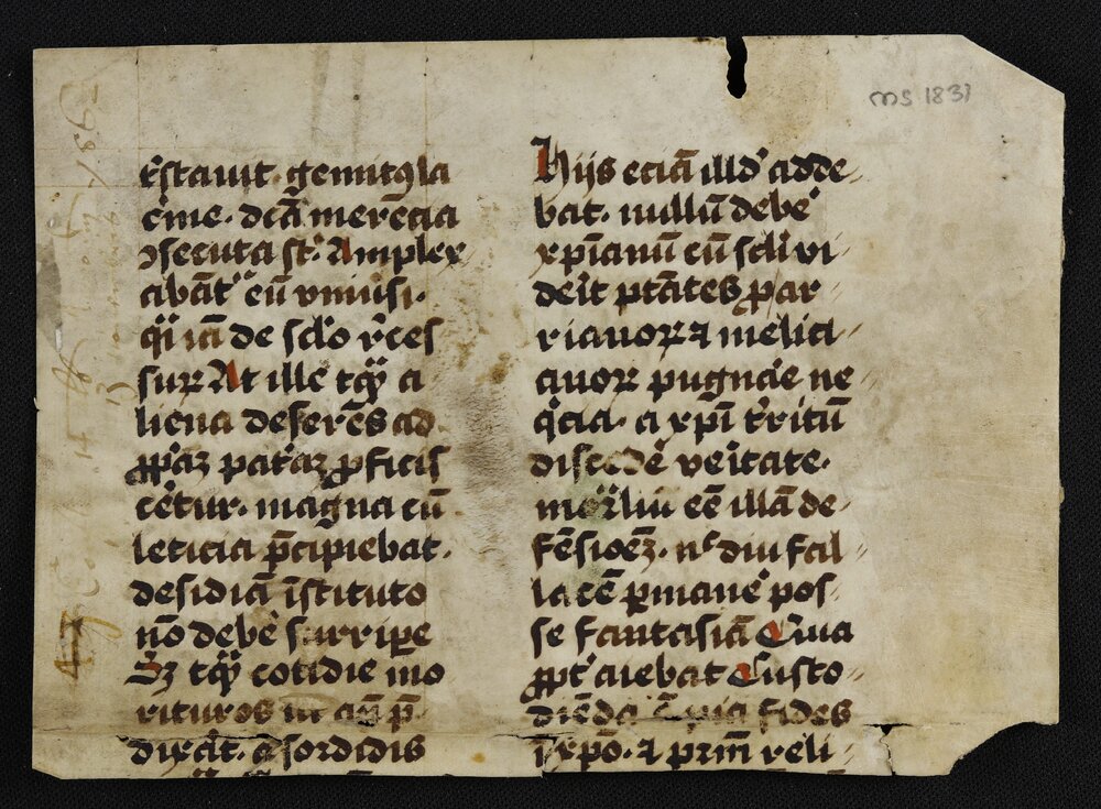 ...bat precipue tamen ob