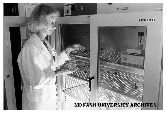 Mrs Joanne Paddle-Ledinek working with skin cultures, department of Surgery, Alfred Hospital