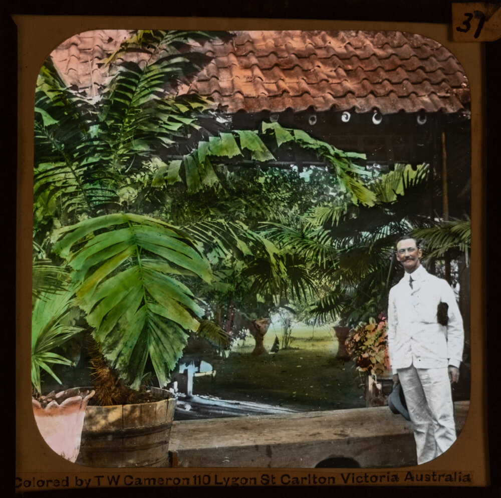 Traveller posing with potted tree