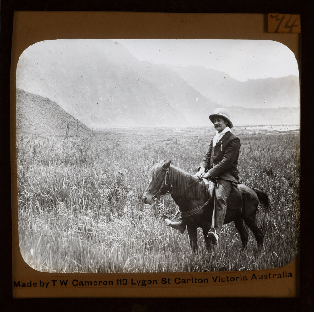 Man on horse in field 