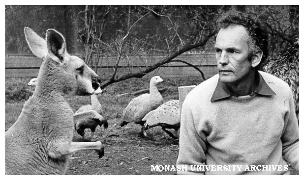 Senior lecturer in Physiology Dr Uwe Proske with kangaroo in Jock Marshall reserve