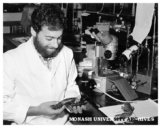 Dr Anthony Sokol of Zoology examining specimens of common yabby Cherax