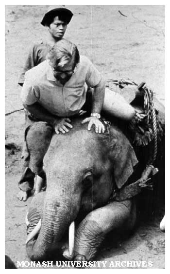 Dr Tim Ealey in Thailand, inspecting effective form of local power - the elephant