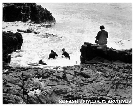 Diving for kelp on King Island