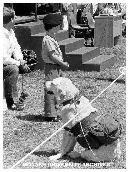 Harry Webster and Regiment mascot, Luke watching parade