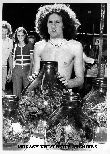 Terrarium seller, Friday market