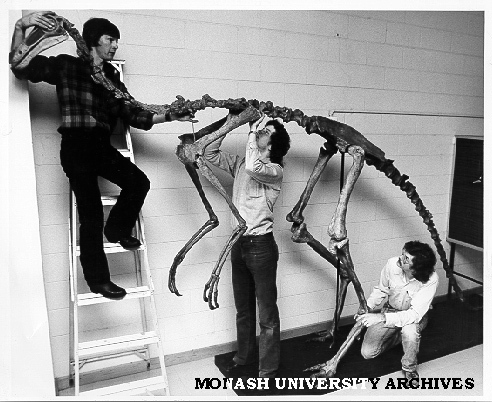 Re-assembling skeleton of 'Gallimimus bullatus'. Brent Hall and Peter Swinkles from National Museum of Victoria helped by student Chris Patterson (right)