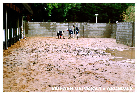 Foundations for Japanese Garden