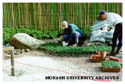 Planting mondo grass, Japanese Garden