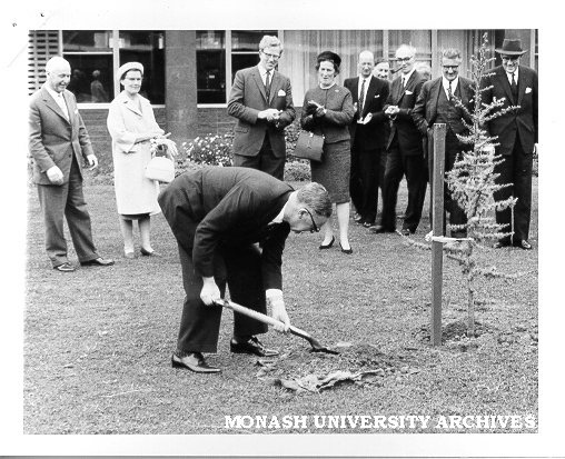 Mr W. H. Connolly planting atlantic spruce outside the Harper Laboratory, in the Engineering Courtyard.