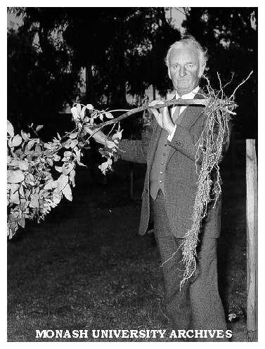 Curator John Cranwell with sapling torn up by vandals