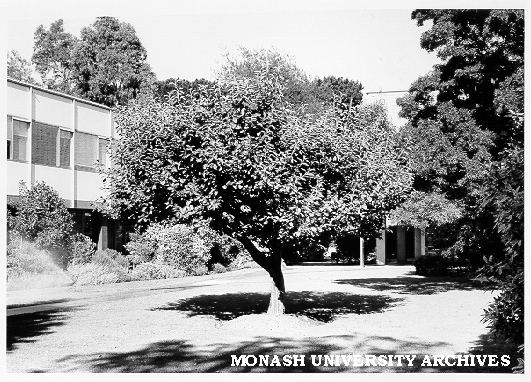 Newton apple tree, Engineering courtyard