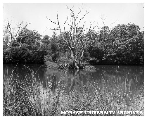 Lake in Jock Marshall Reserve