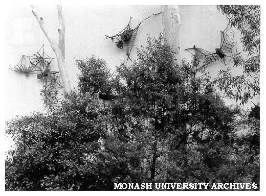 Clifton Pugh's 'Flying Foxes' on wall of Zoology lecture theatres
