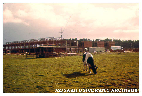 Engineering buildings viewed from south-east (with cow in foreground)