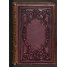 Living in earnest, with lessons and incidents from the lives of the great and good : A book for young men