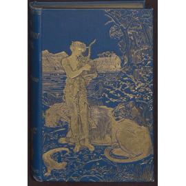 The blue poetry book