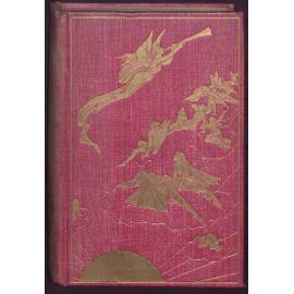 The pink fairy book