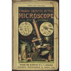 Common objects of the microscope
