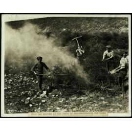 With the British in the north of France: clearing the brush