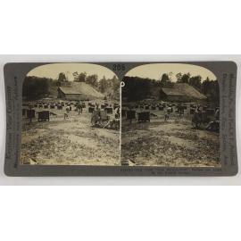 Red Cross "Dog encampment" behind the lines in the French sector