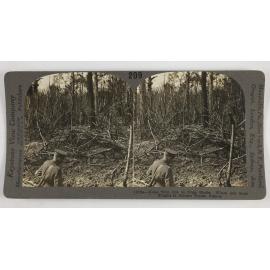 Holes torn out by huge shells.  Where our boys fought in Belleau Woods, France