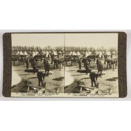 A view of the artillery lines of the Australian Expeditionary Force in camp at Broadmeadows