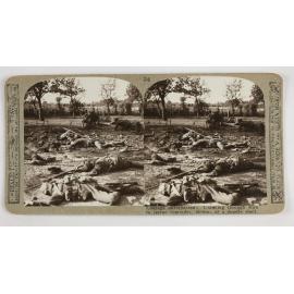 Courage unsurpassed!  Crawling through wire to rescue comrades, victims of a deadly shell