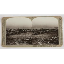 Hundreds of guns captured by Australians and Canadians at Couralette in Battle of Somme