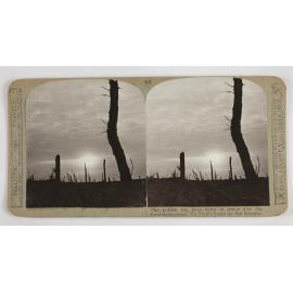 The golden sun goes down in peace o'er the desolate wastes of No Man's Land on the Somme