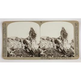 Knocked out!  A nest of machine-guns which held up our advance at Monchy.  Battle of Arras