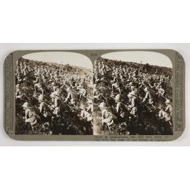 Short of ammunition, but still they press on : true bull dog rush of our troops at Gallipoli