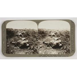 Turks who fell on scrub covered Chocolate Hill resisting surprise attack from Suvla Bay