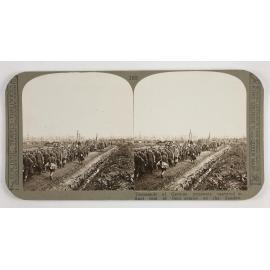 Thousands of German prisoners captured in final rout of their armies on the Sambre