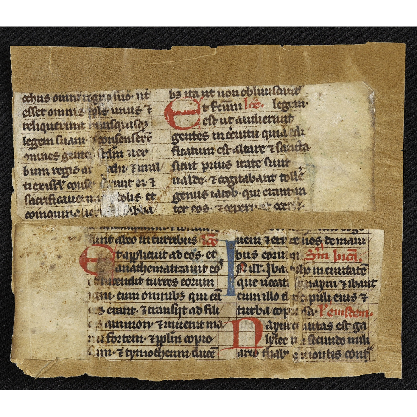 Bischoff Fragment Collection