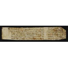 Fragment no. 5 