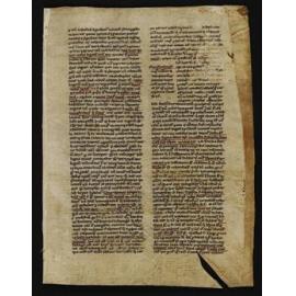 per illud tutatonem ti gratiatur visitato praesent programma