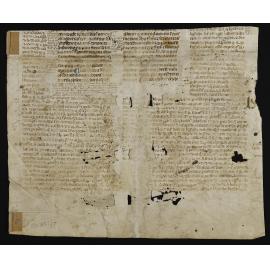 coram ecclesie senioribus ueritatem