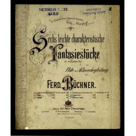 Sechs leichte charakterische Fantasiestücke im russischen Styl : für Flöte mit Klavierbegleitung. Zigeuner-Tanz, Op. 35