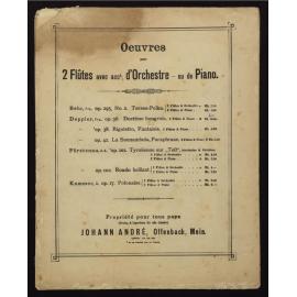 Duettino sur des motifs hongrois : pour deux flûtes (ou flûte et violon) avec accompagnement de piano :  op. 36 / par François Doppler. [Version 2]