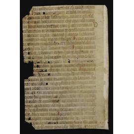 alloquutus. Logitas augustine / bis uideatur mirabile, si talia uidetis