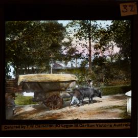 Man with bull and cart