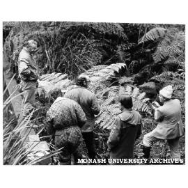 Botanists filming 'Wondrous Sherbrooke' for undergraduate teaching, from left: Don Housen, Graham Ivey, Mick Ryan, Peter Boyle and Dr Terry O'Brien