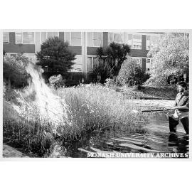 Ian Rossiter burning off bullrushes in systems garden